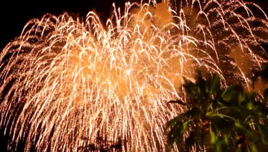 July 4th Independence Day Fireworks & BBQ VIP Celebration 2024 - UNDER 21